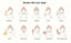 Routine Steps